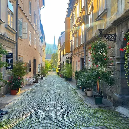 Appartement 1br On The Beautiful Street In Center *