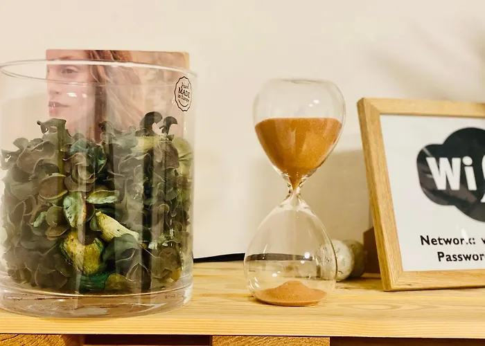 1br On The Beautiful Street In Center Apartment