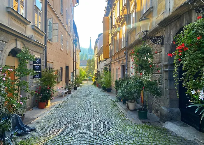 شقة 1br On The Beautiful Street In Center *